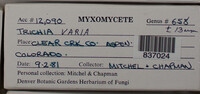 Image Associated With the Occurence